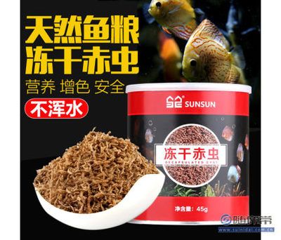 观赏鱼红虫饲料（红虫是一种常见的观赏鱼饲料） 杰西卡恐龙鱼 第4张