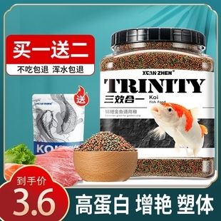 观赏鱼专用鱼粮品牌（如何选择优质的鱼粮） 鱼缸等水族设备 第4张