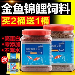 黑鱼观赏鱼吃什么（观赏鱼饲料的自制秘籍） 其它水族用具设备 第1张