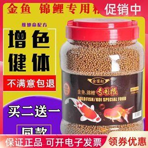 黑鱼观赏鱼吃什么（观赏鱼饲料的自制秘籍） 其它水族用具设备 第3张