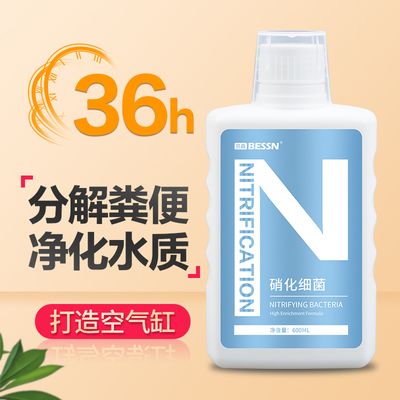 BESSN硝化细菌（什么是硝化细菌） 狗头鱼 第2张