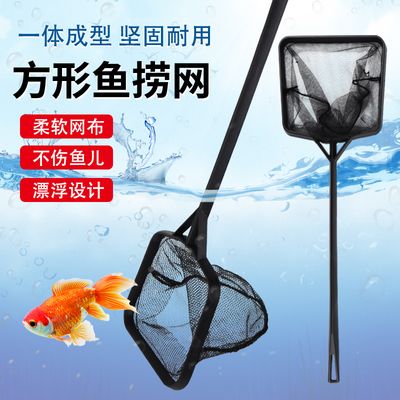 观赏鱼水族箱设计（观赏鱼水族箱设计关键要点） 鱼缸清洁用具 第3张