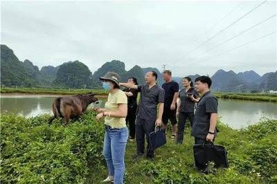 广东观赏鱼鉴定机构有哪些地方（广东省内的几家观赏鱼鉴定机构）