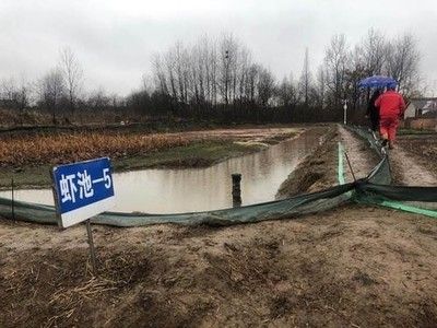 广东观赏鱼鉴定机构有哪些地方（广东省内的几家观赏鱼鉴定机构）