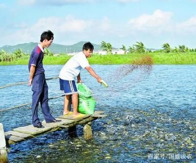 观赏鱼销售属于什么税收（宠物经济与税收政策的关系宠物经济与税收优惠政策的关系）