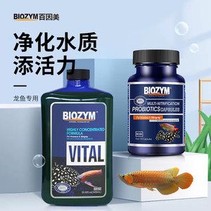 BIOZYM龙鱼益生菌（biozym水族箱鱼缸硝化细菌胶囊观赏鱼养水益生菌服用指南） 月光鸭嘴鱼苗 第4张