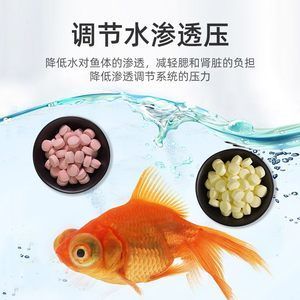 观赏鱼专用鱼盐怎么用视频教学（关于观赏鱼专用鱼盐的使用方法和注意事项） 鱼缸水质稳定剂 第4张