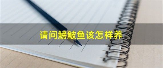 观赏鱼鳑鲏鱼（[需手动填充][需手动填充]鱼的生态习性） 赤荔凤冠鱼 第4张