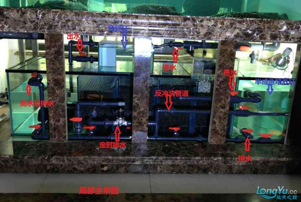 底滤缸最佳水位图（底滤鱼缸最佳水位图） 其他宠物 第2张