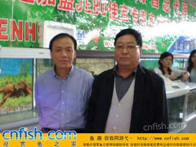 观赏鱼协会会长名单（东莞市观赏鱼协会长观赏鱼协会副会长观赏鱼协会会长名单）