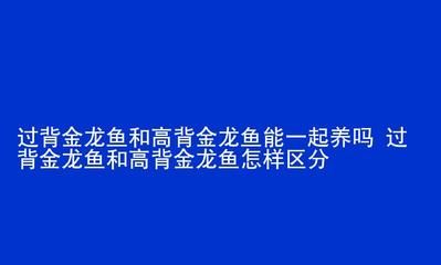 高背金龙能长多大（高背金龙鱼的生长潜力有多大？） 祥龙水族医院 第3张