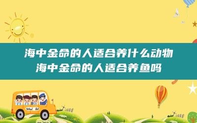 海中金鱼缸怎么样养鱼（海中金鱼缸养护指南） 非洲象鼻鱼 第3张