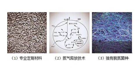 GOOPOOL谷珀硝化细菌（goopool/goopool/硝化细菌） 财神鹦鹉鱼 第4张