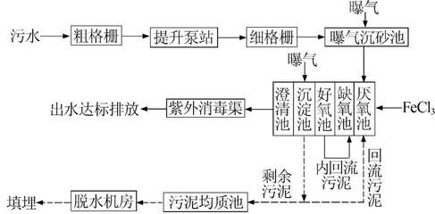 反硝化细菌生长条件（反硝化细菌与反硝化细菌的区别） 立达金龙鱼 第4张