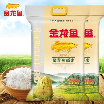 金龙鱼全系列产品（金龙鱼全系列产品中，哪些是针对健康饮食设计的？）