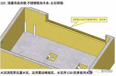 户外锦鲤池过滤系统（户外鱼池过滤系统的应用）