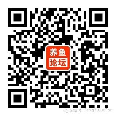 观赏鱼专用盐对人体有害吗视频（观赏鱼专用盐对人体有害吗） 委内瑞拉奥里诺三间鱼 第4张