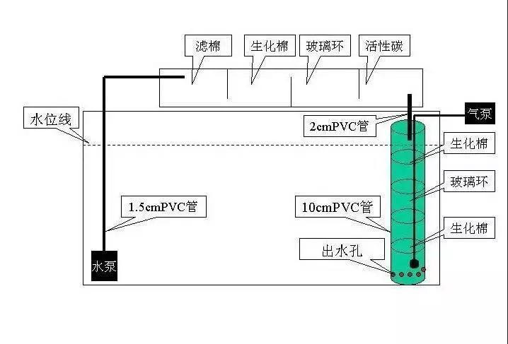 过滤桶滤材放什么（过滤桶滤材放置顺序对于过滤效果和鱼缸生态的维持至关重要） 肥料 第3张