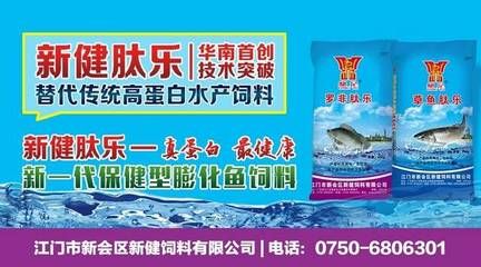 海南淡水观赏鱼种类有哪些品种（关于海南淡水观赏鱼的相关信息） 飞凤鱼 第3张