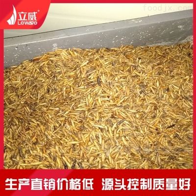 黑水虻微波干燥（关于黑水虻微波干燥的一些详细信息） 锦鲤饲料 第3张