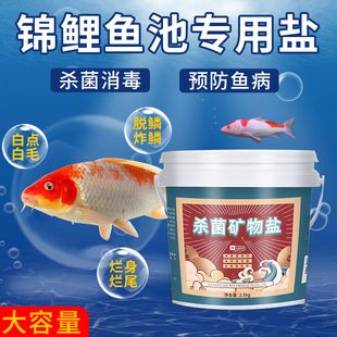 观赏鱼能放食用盐吗（盐在水族中的神秘作用） 银古鱼苗 第3张