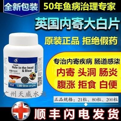 观赏鱼大白片治疗肠炎有用吗（大白片治疗肠炎的方法） 巴西亚鱼苗 第2张