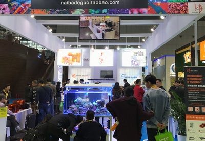 广州水族展2023（2018广州水族展2023）