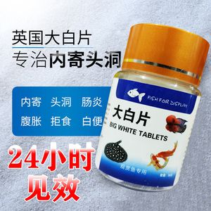 观赏鱼大白片价真的好用吗（观赏鱼大白片价格在2瓶起批的情况下是否值得购买）