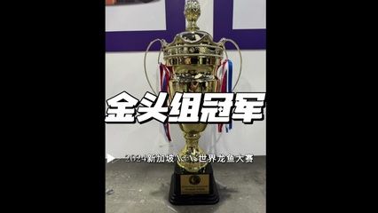 2024年龙鱼比赛什么时候开始的（2024年龙舟比赛什么时候开始？）