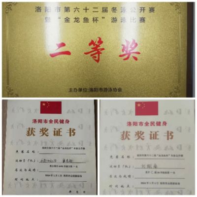 顶级金龙鱼价格表（金龙鱼的价格是多少钱一条金龙鱼的价格为什么那么贵） 龙鱼百科 第1张