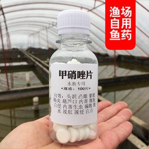 甲硝唑治疗龙鱼用量（治疗龙鱼疾病时甲硝唑的用量需要谨慎控制） 龙鱼百科 第2张