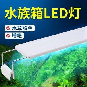 红龙鱼用led的灯可以吗（红龙鱼使用led灯的详细信息） 龙鱼百科 第3张