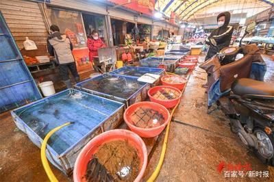 济南哪里有卖龙鱼的市场地址（济南一些比较知名的水族市场和龙鱼销售点） 龙鱼百科 第1张