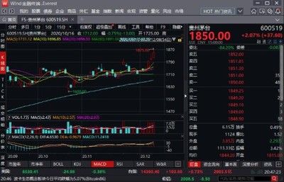 20厘米的金龙鱼吃多少小麦穗鱼（20厘米左右的金龙鱼一顿可以吃多少条）