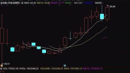 白色金龙鱼价格走势分析（白色金龙鱼价格走势分析白色金龙鱼价格走势分析）