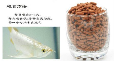 20厘米龙鱼喂食量表图片（20厘米金龙鱼一天喂多少） 龙鱼百科 第2张