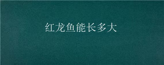 20厘米红龙鱼一年能长多大？（20公分的龙鱼一年能长多大？）