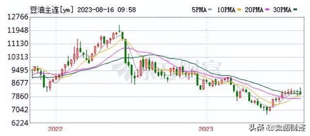 今年龙鱼价格下跌了吗（2023年金龙鱼价格出现下跌以下是详细的分析） 龙鱼百科 第2张