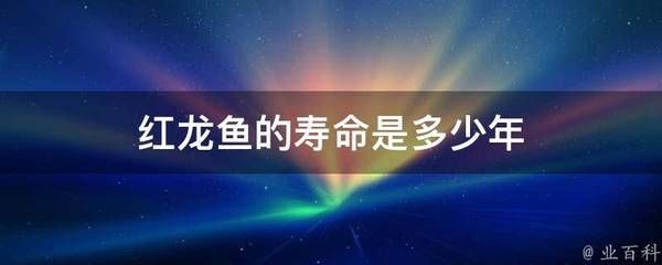 家养红龙鱼能活多少年（红龙鱼的寿命多长时间能活多久红龙鱼寿命多长时间） 龙鱼百科 第2张