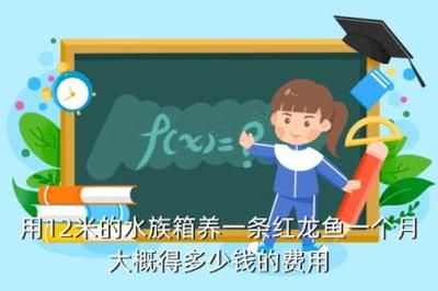 45公分的红龙鱼一天喂多少泥鳅饲料（知乎专栏:红龙鱼每天喂食2-4厘米的草金鱼）