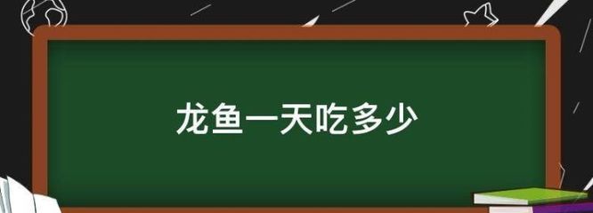 40cm龙鱼一天吃多少斤饲料合适呢（龙鱼一般喂多少饲料）