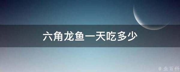 40cm龙鱼一天吃多少斤饲料合适呢（龙鱼一般喂多少饲料） 龙鱼百科 第2张