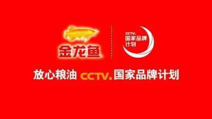 cctv6金龙鱼（cctv6与金龙鱼之间的合作历史）