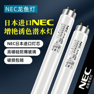 nec龙鱼灯放在什么位置好（nec龙鱼灯的放置位置） 龙鱼百科 第1张