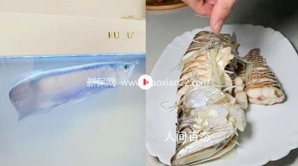 刚买回来的龙鱼怎么处理干净（买回来的龙利鱼如何去内脏？） 龙鱼百科 第2张