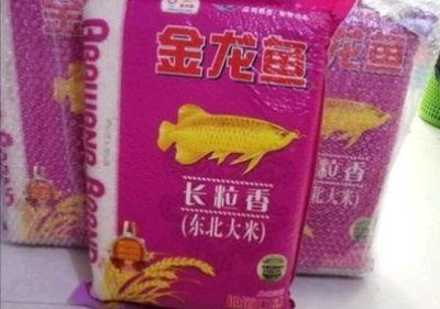 20cm金龙鱼一天喂几次饲料好（20cm的金龙鱼一天喂多少次食金龙鱼一天喂多少次）