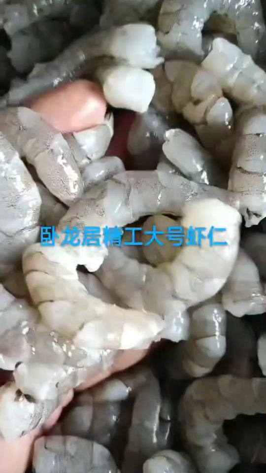 唐山卧龙居精品手工鱼食（卧龙居精工大号鲜虾仁市场上永远买不到这种虾仁）