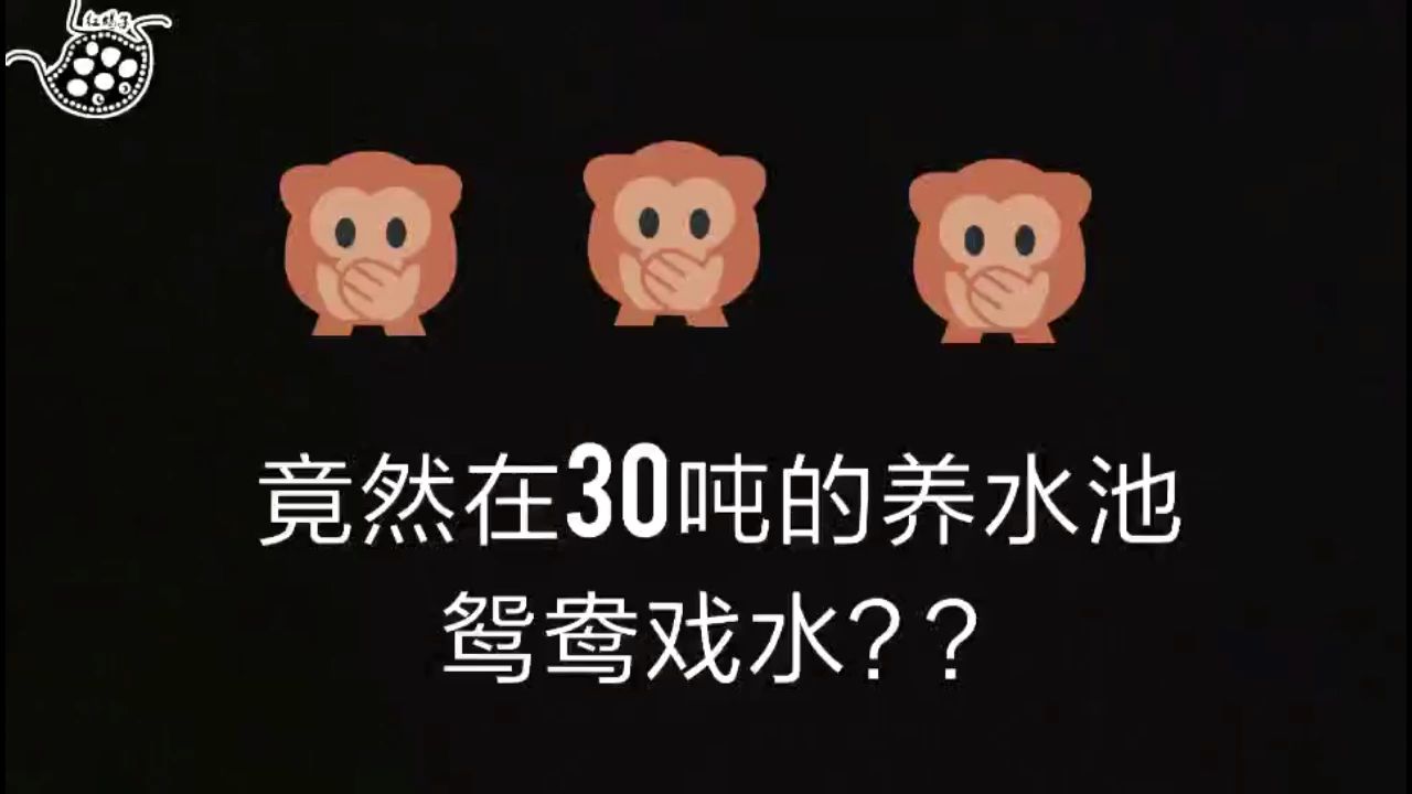 清洗养水池的辛酸史（dt_爸爸评论：听说李总可以一次性喝完这池水）