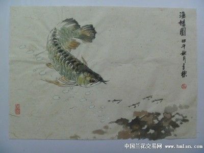 国画龙鱼画法（国画龙鱼的画法） 龙鱼百科 第2张