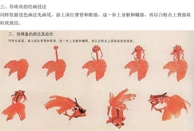 国画金龙鱼的画法步骤（国画金龙鱼的画法步骤介绍） 龙鱼百科 第2张